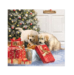 Puppies and presents