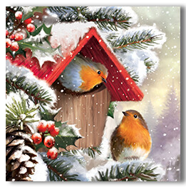 Robins in the snow