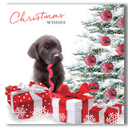Christmas wishes labrador