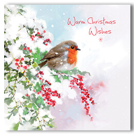 Christmas wishes Robin