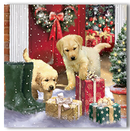 Labrador puppies and presents