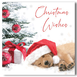 Christmas Wishes Labrador
