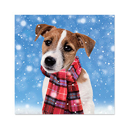 Christmas Jack Russell