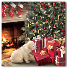 Puppy And Presents