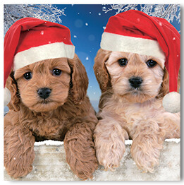 Puppies In Santa Hats
