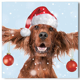 Christmas Irish Setter