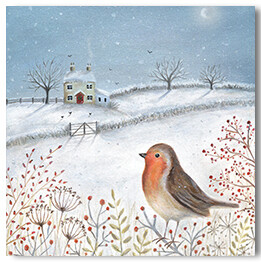 Robin In The Snow