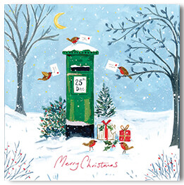 Robins And Postbox