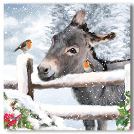 Donkey and Robins