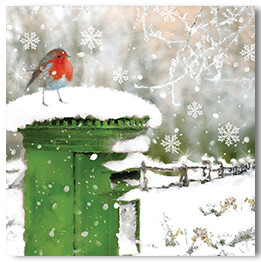 Robin And Postbox
