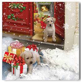 Puppies And Presents