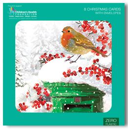 Snowwy Robins and Postbox