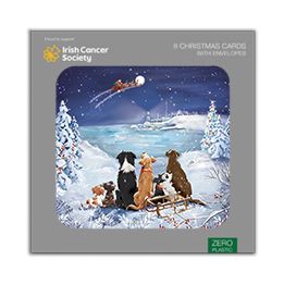 Dogs watching Santa