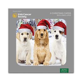 Puppies in Santa hats
