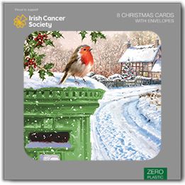 Snowy Robin and Postbox