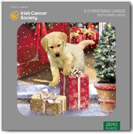 Puppy and presents