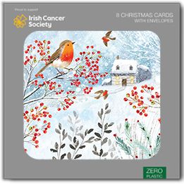 Winter Robins and berries