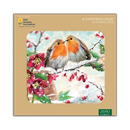 Christmas Robins in the snow