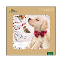 Puppy and Robins