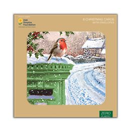 Robin and postbox