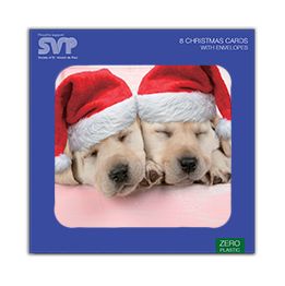 Sleeping puppies in Santa hats