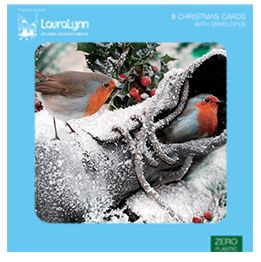 Photographic Robin in the snow