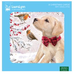 Labrador and Robins