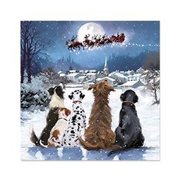 Dogs watching Santa