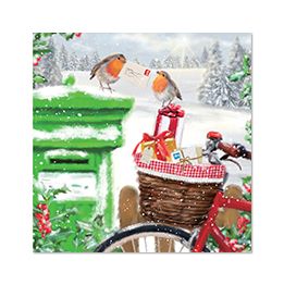 Robins and Postbox