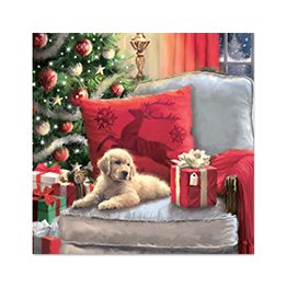 Labrador Puppy
