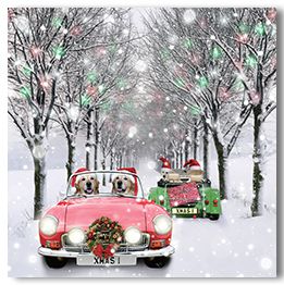 Driving home for Christmas