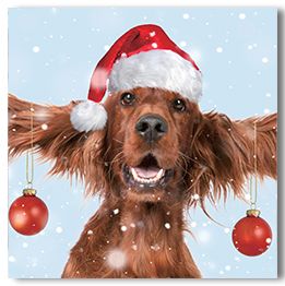 Christmas Irish Setter
