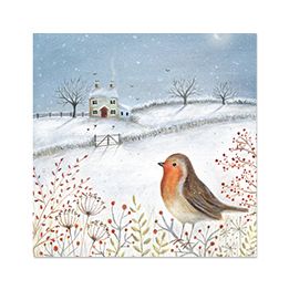 Robin in the Snow