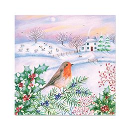 Robin and House