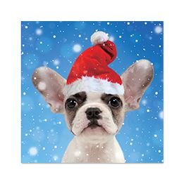French Bulldog in Santa Hat