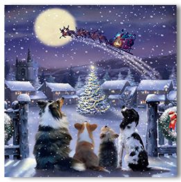 Dogs watching Santa