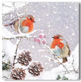 Winter Robins