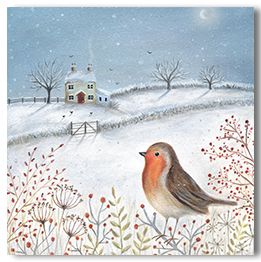 Robin in the snow