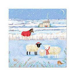 Winter Sheep