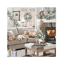 Sleeping Pets