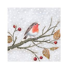 Winter Robin