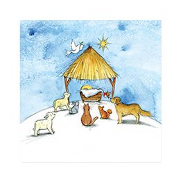 Animal Nativity