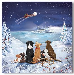 Dogs watching Santa