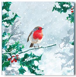 Robin in the snow