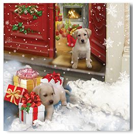 Puppies and presents