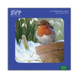 Robin and Snowdrops