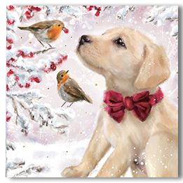 Puppy and Robins