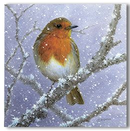 Winter Robin