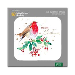 Merry Christmas Robin