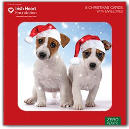 Puppies in Santa Hats